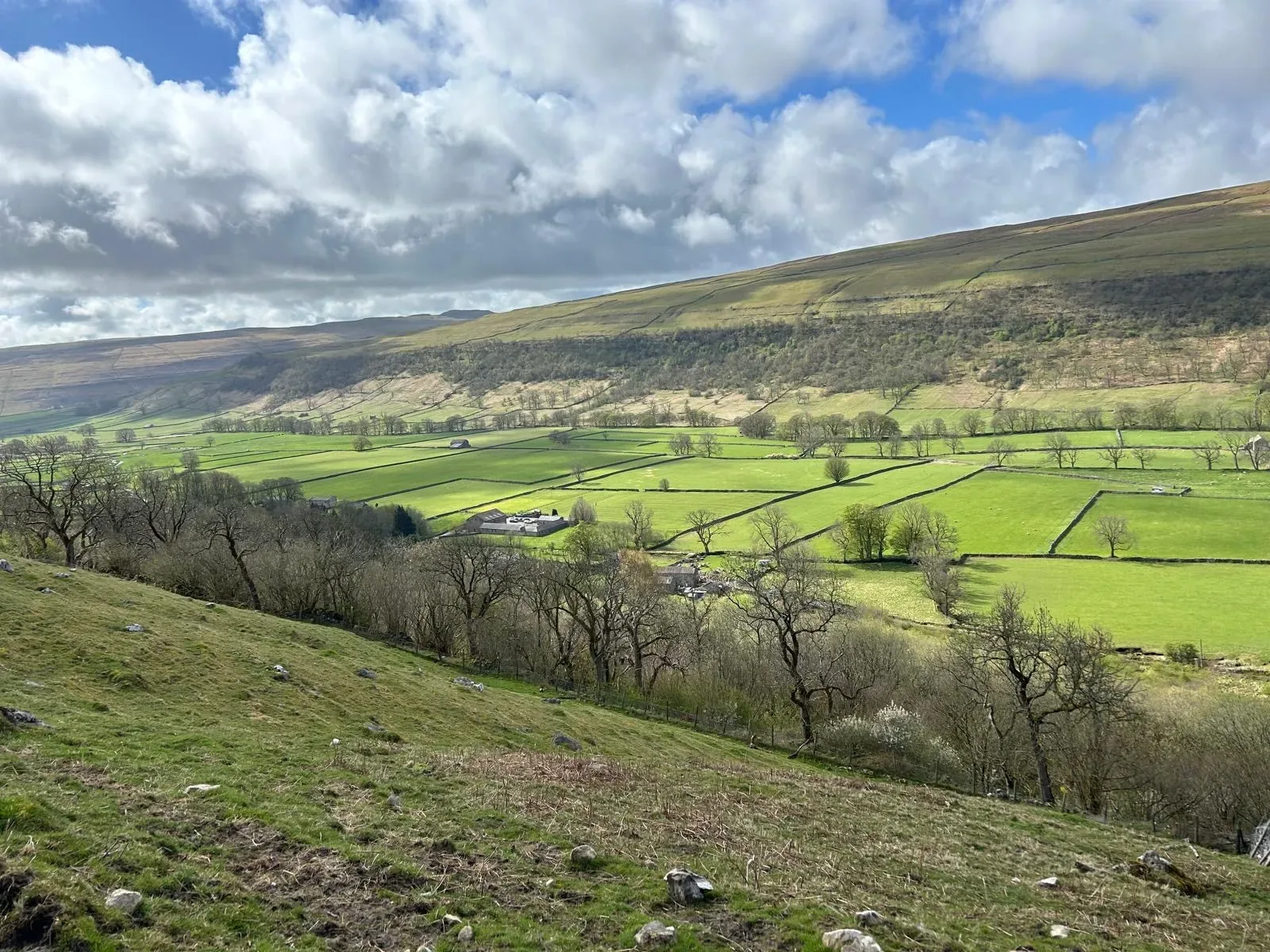 A honey-stone Yorkshire Dales village and river on a private tour