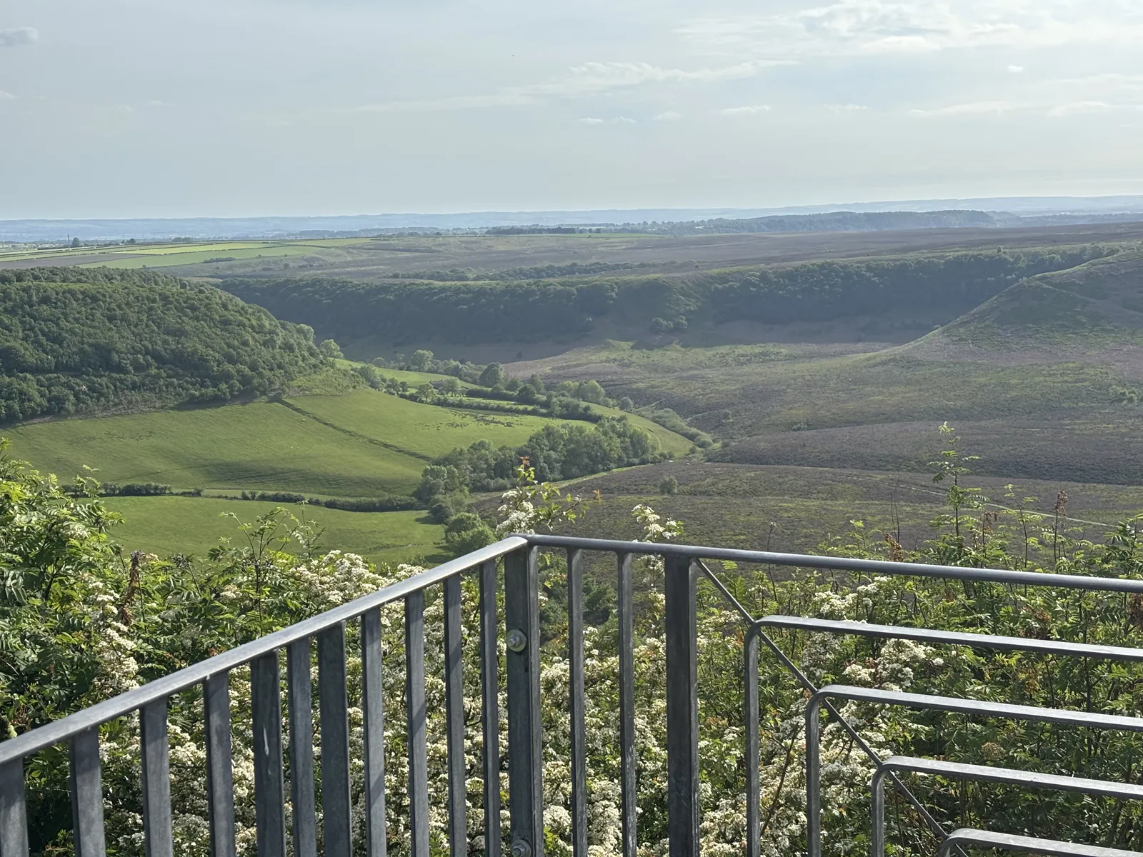 Luxury private Yorkshire day tour — chauffeur-driven Mercedes V-Class on a moorland road with sweeping dales views